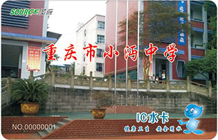 重庆市小沔中学校园直饮水